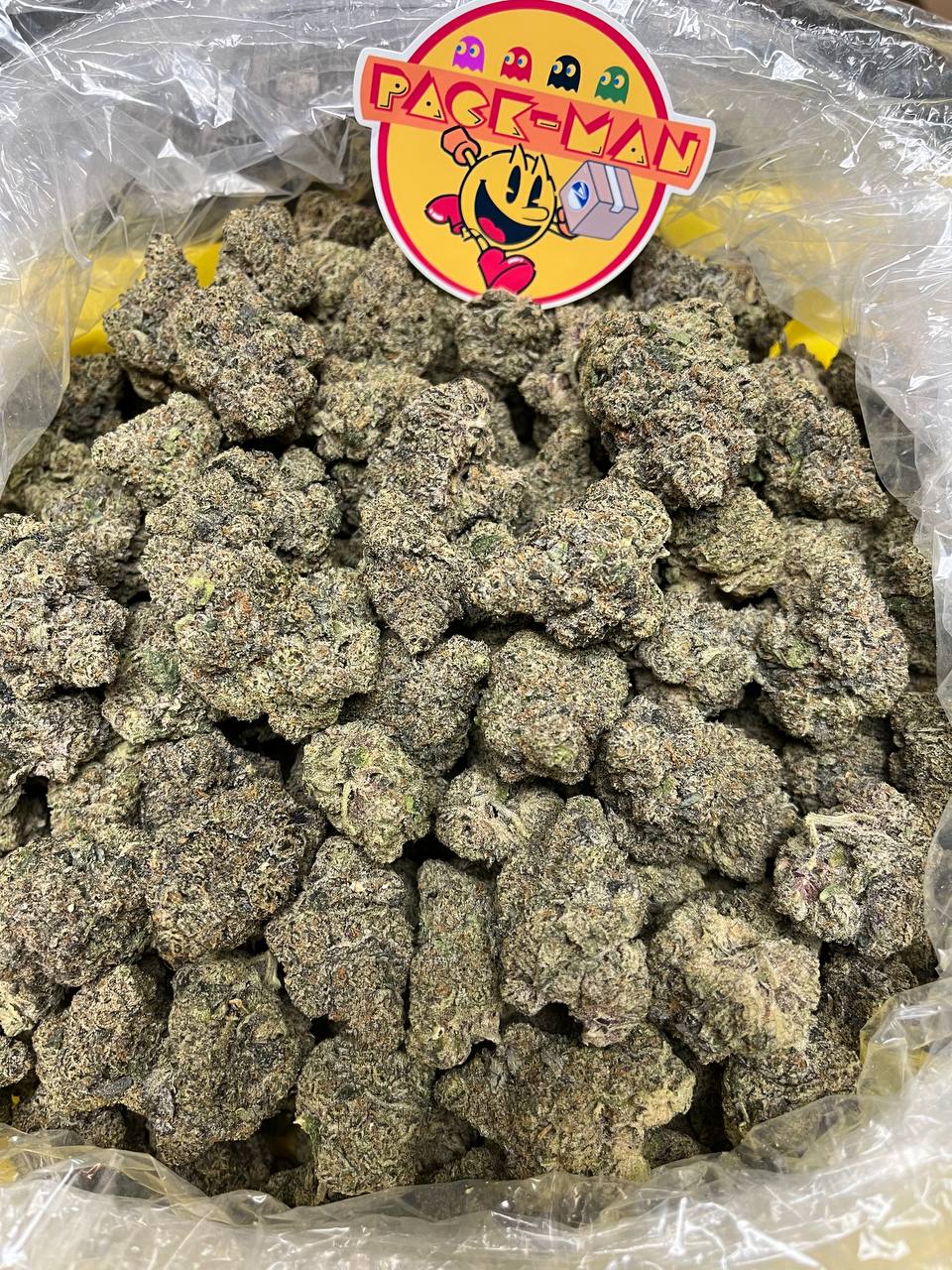Black Cherry Gelato Black Cherry Gelato