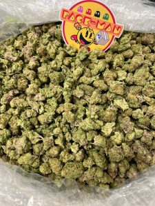 Papaya Punch Smalls
