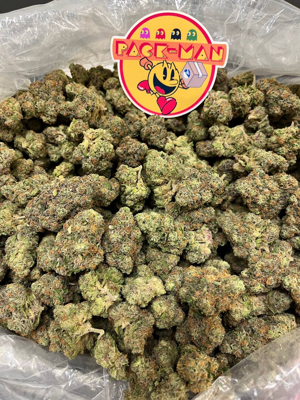 Apple Fritter Apple Fritter
