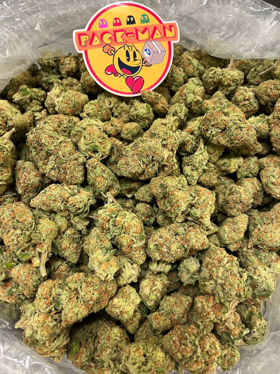 Papaya Punch Papaya Punch