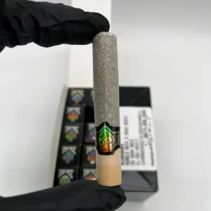 2Gram Sluggers Hashholes