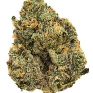 Sunset Sherbet
