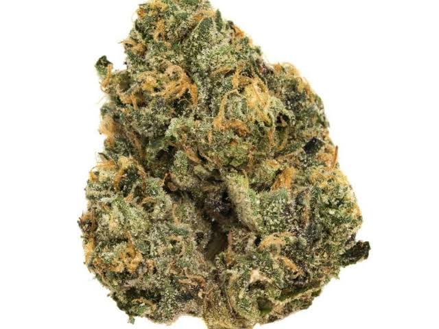 sunset ssherbet